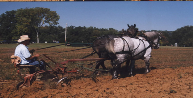 Malabar Farm Spring Plowing Days