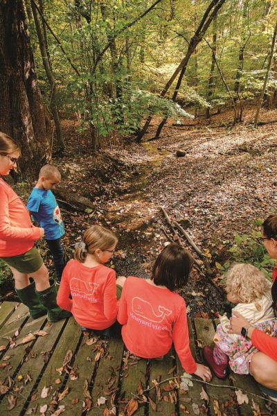 Mini Winter Camp at Ohio Bird Sanctuary