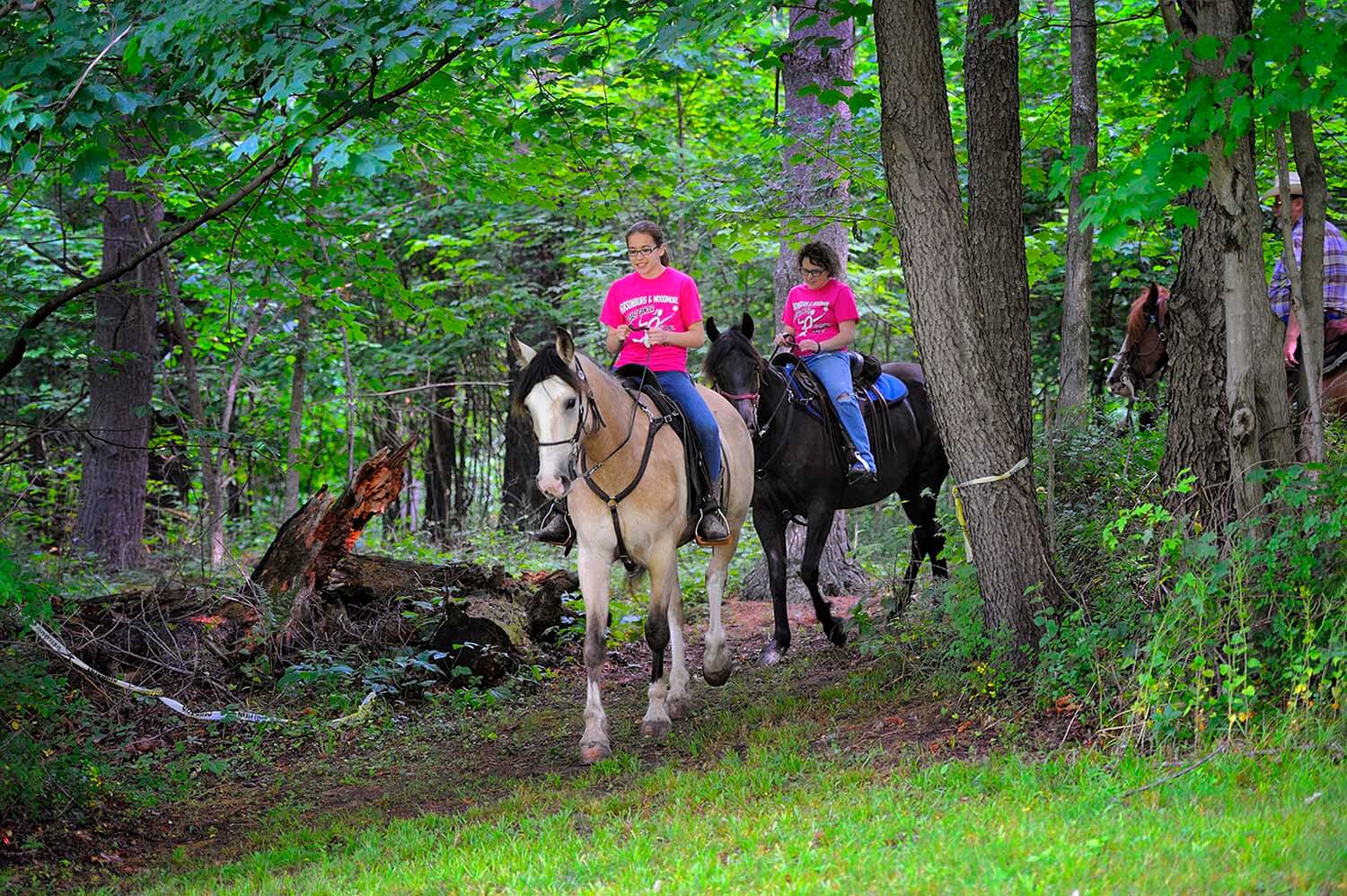 Bridle Trails