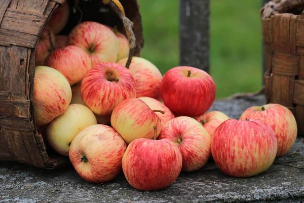 Johnny Appleseed Historic Byway