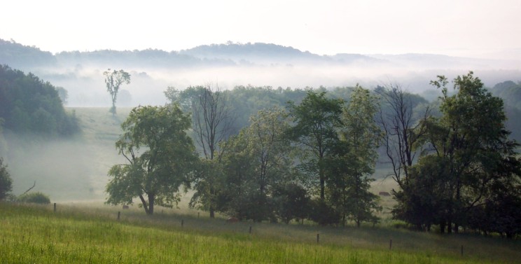 Mist through rolling hills