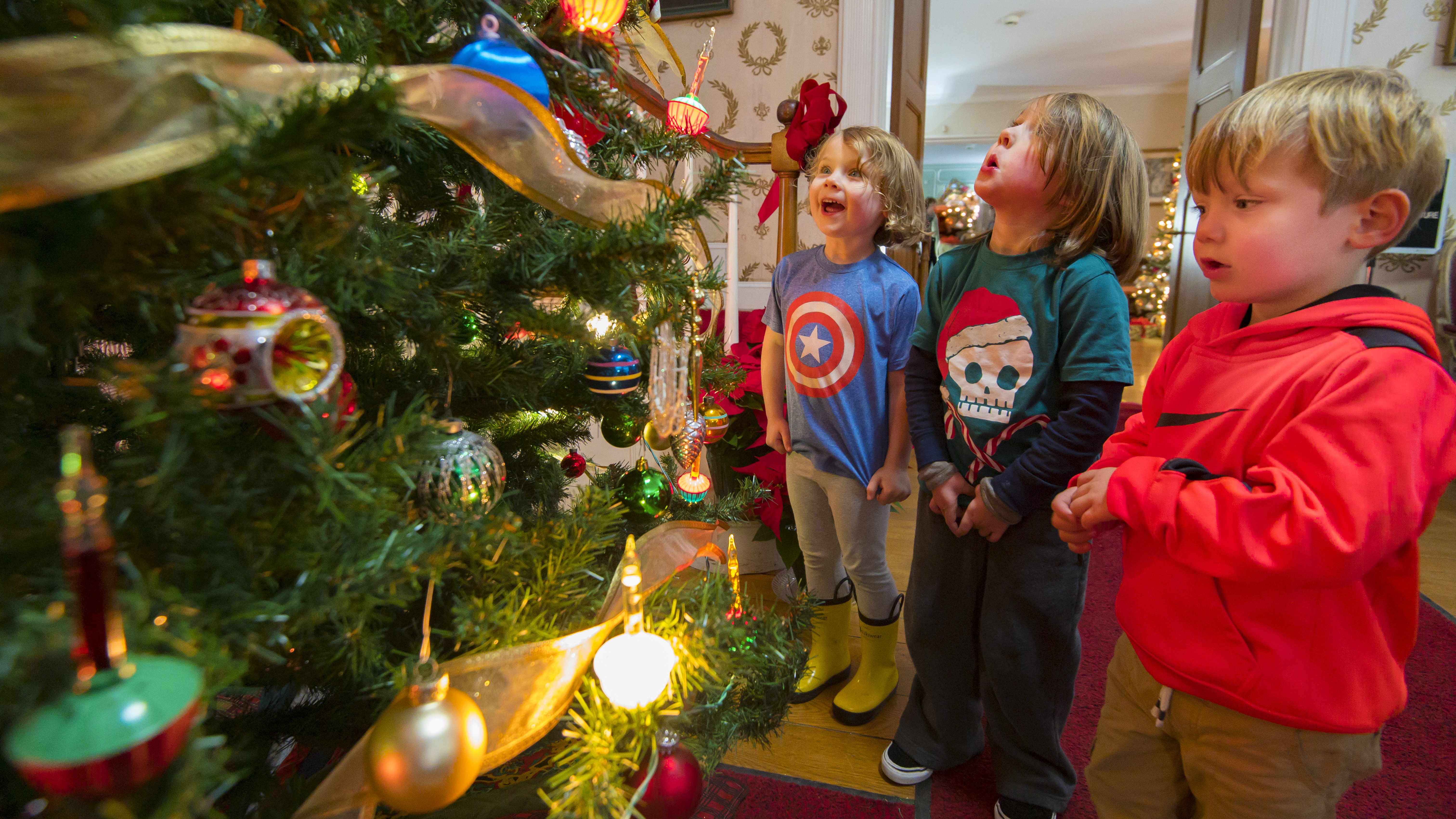 Three kids look at a Christmas tree in awe