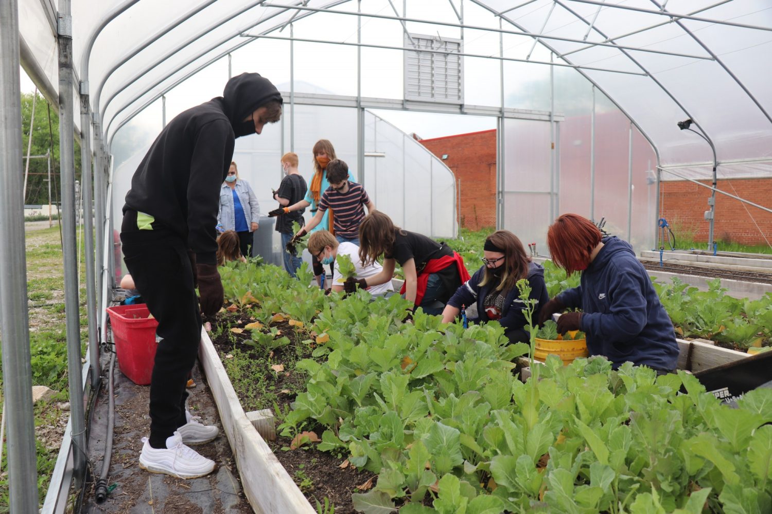 Urban Farms