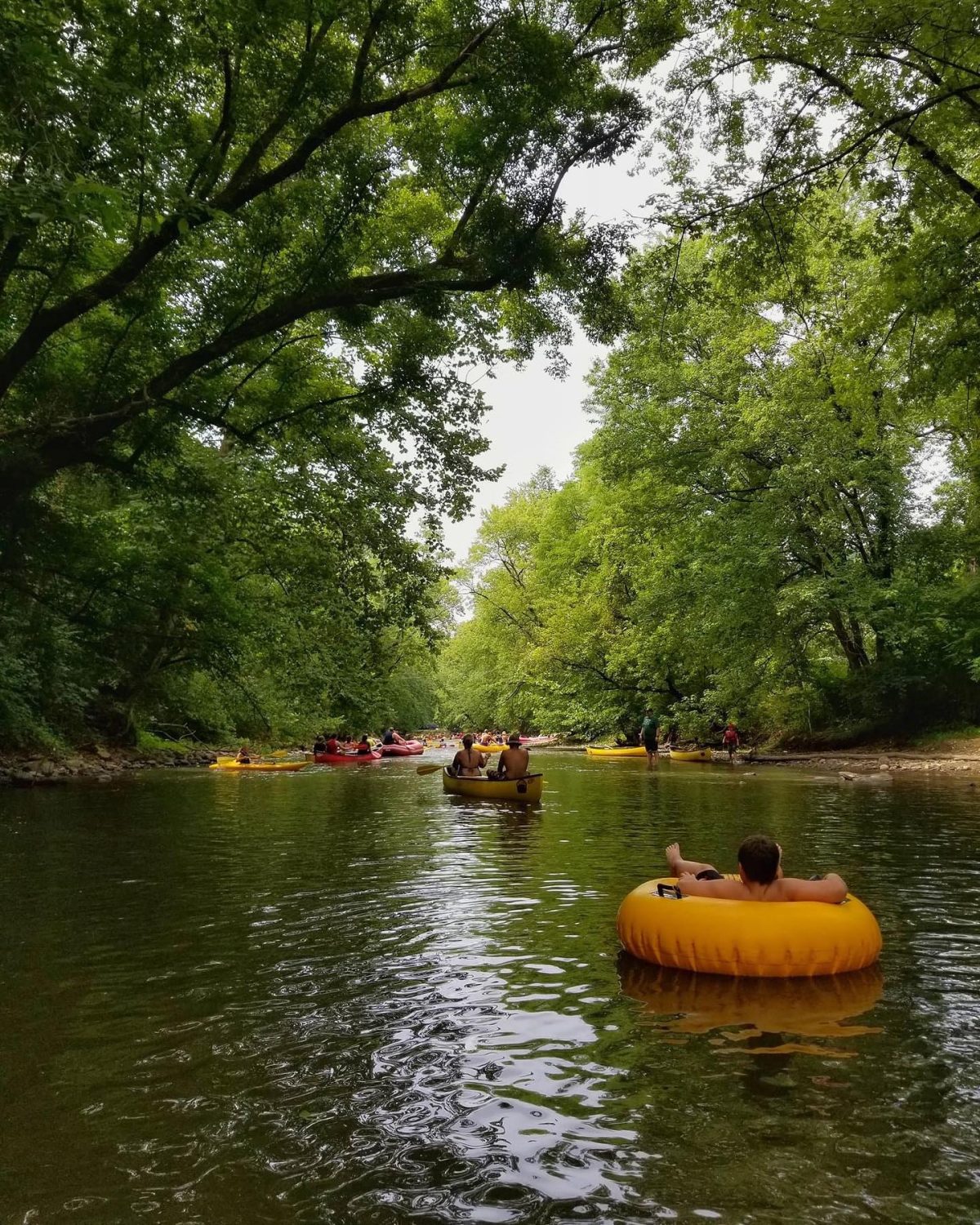 Mohican Adventures River Trips & Fun Center