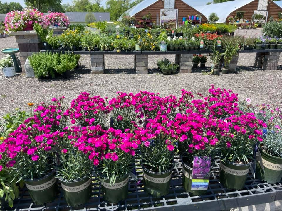 Arnold’s Garden Center