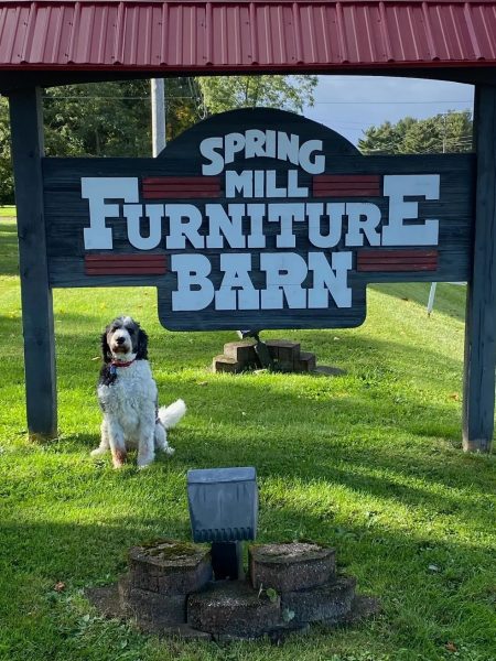 Spring Mill Furniture Barn
