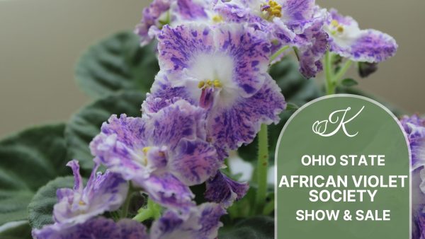 Ohio State African Violet Society Show & Sale