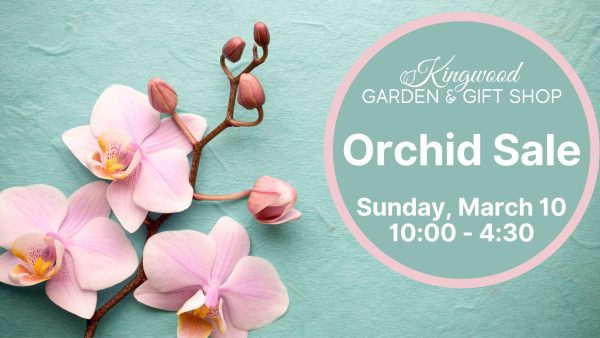 Orchid Sale at Kingwood Center Gardens