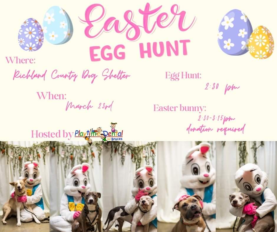Playtime Dental and Braces Annual Easter Egg Hunt