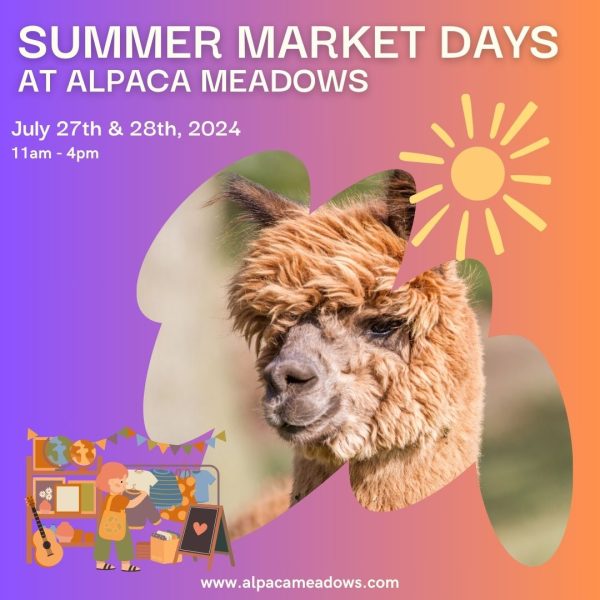 Summer Market Days
