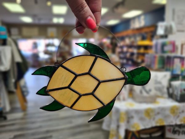 Turtle Stained Glass Workshop