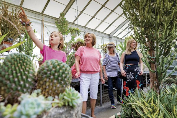 Behind-the-Scenes Greenhouse Tour at Kingwood Center Gardens