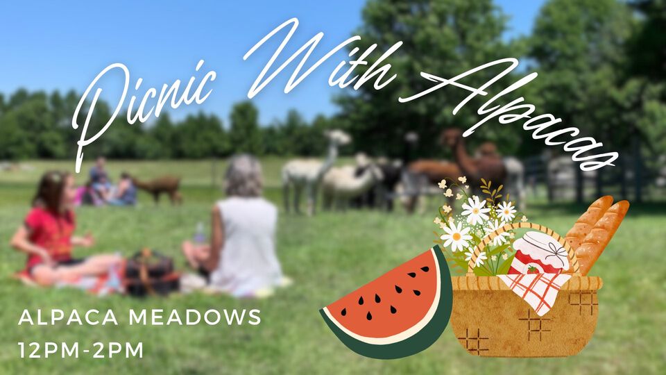 Picnic With Alpacas at Alpaca Meadows