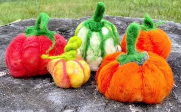 Make a Needle Felted Fall Pumpkin at Burton Park