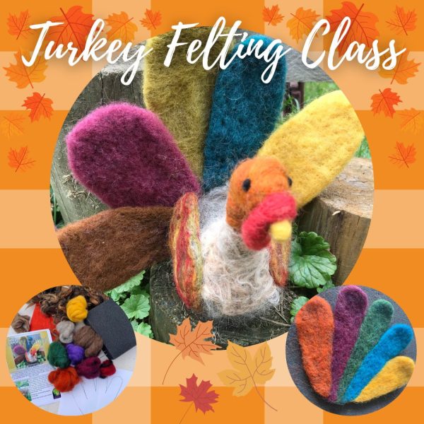 Turkey Needle Felting Class