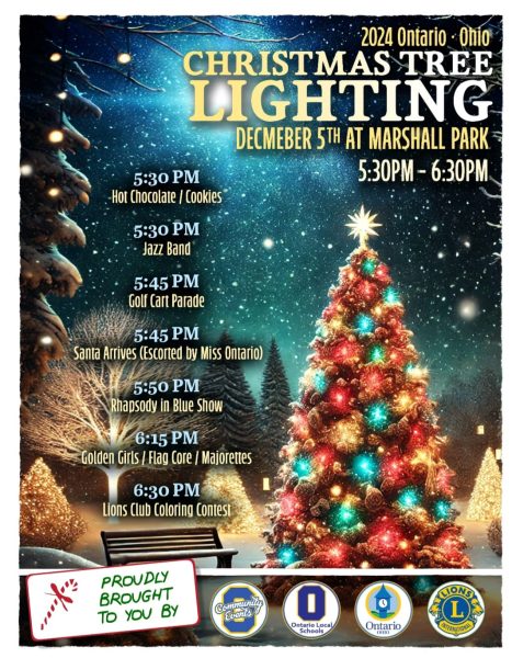 Christmas Tree Lighting at Marshall Park