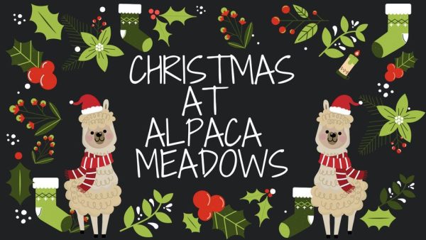 Alpaca Meadows