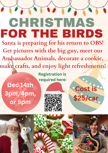 Christmas for the Birds at the Ohio Bird Sanctuary