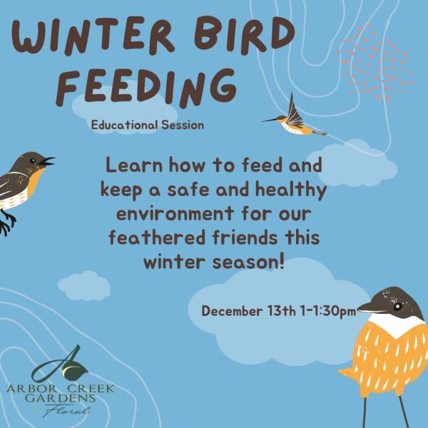 Winter Bird Feeding Educational Session