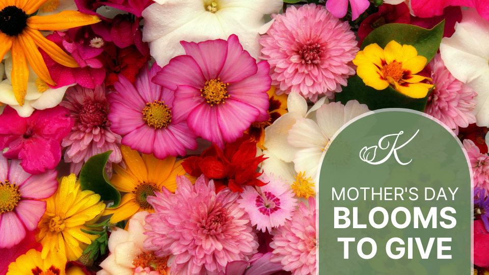 Blooms to Give for Mother’s Day at Kingwood Center Gardens