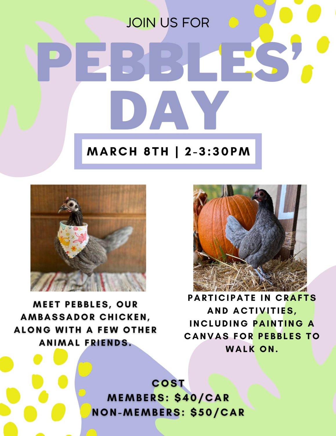 Pebbles’ Day at the Ohio Bird Sanctuary