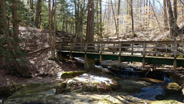 Birds & Breakfast Bird Walk at Fleming Falls Preserve