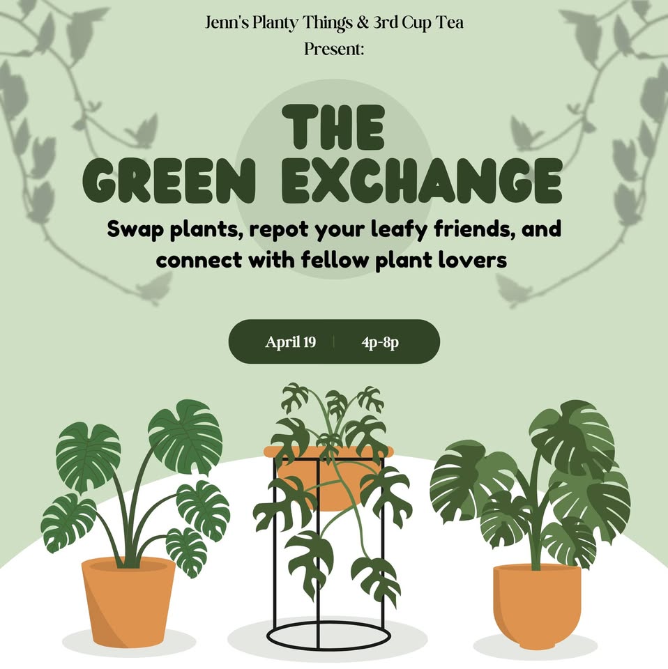 The Green Exchange at 3rd Cup Tea