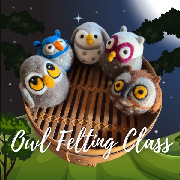 Owl Needle Felting Class