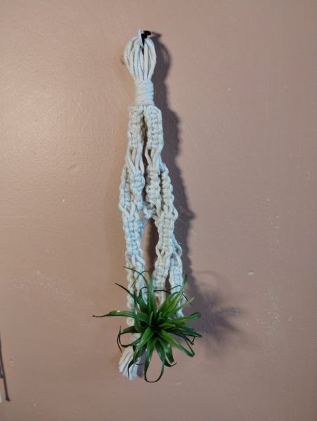 Macramé Air Plant Holder