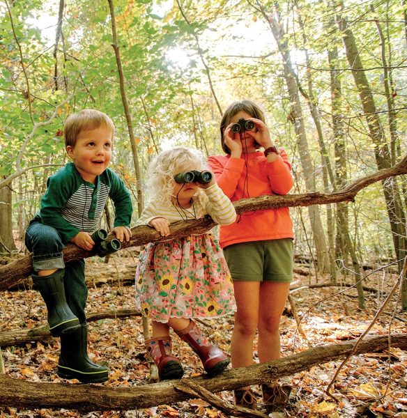 3-Senses Plant Hike at Ohio Bird Sanctuary