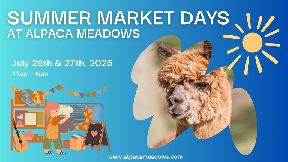 Summer Market Days at Alpaca Meadows