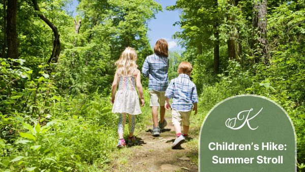 Children’s Hike: Summer Stroll