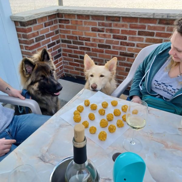 Dog Treat Making Party