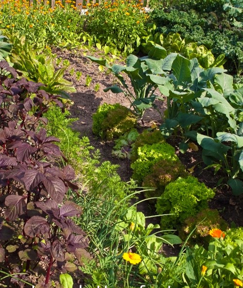 Garden at South Park’s Pioneer Village