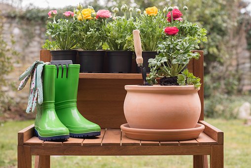 Create a Summer Container