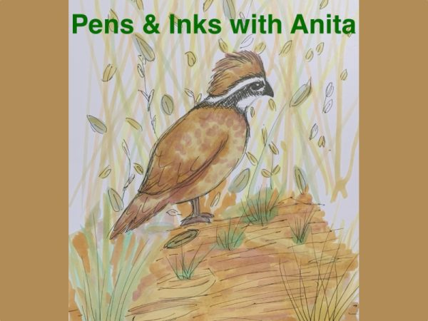  Pens & Ink at the Mansfield Art Center