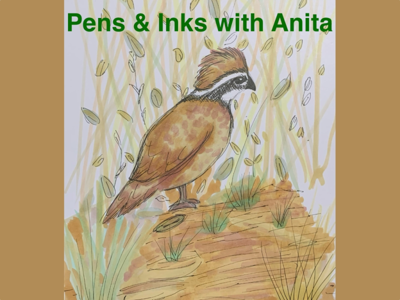  Pens & Ink at the Mansfield Art Center