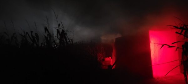 J&J “Field of Screams” Haunted Corn Maze