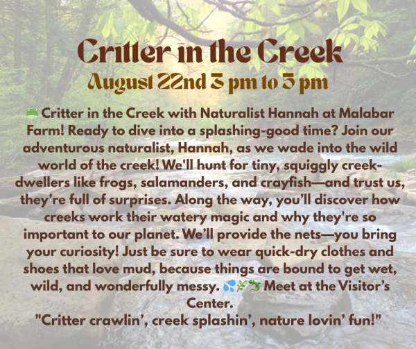Critter in the Creek – Malabar Farm