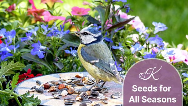 Kingwood Center Gardens