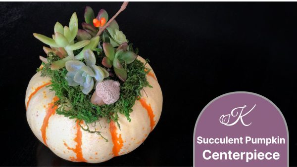 Kingwood Center Gardens