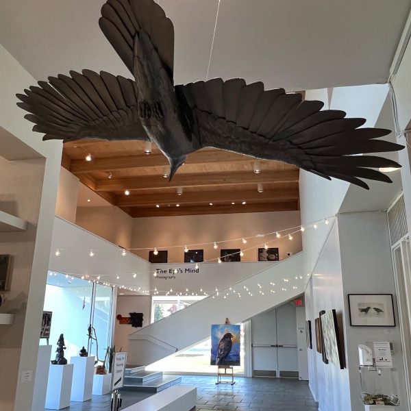 Mansfield Art Center