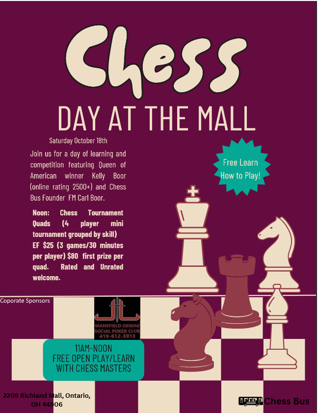 Chess Day at the Mall