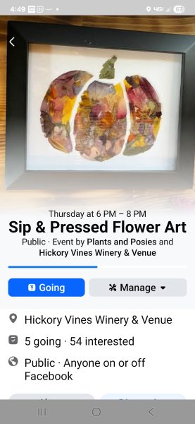 Hickory Vines Winery & Venue