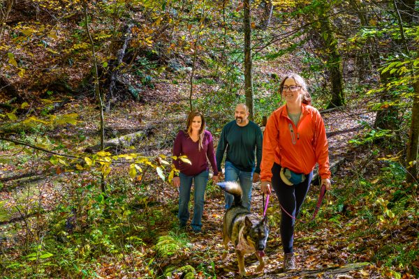 Nature Hikes & Educational Programs at Fleming Falls
