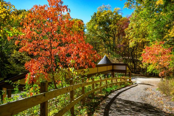 Nature Journaling at Fleming Falls
