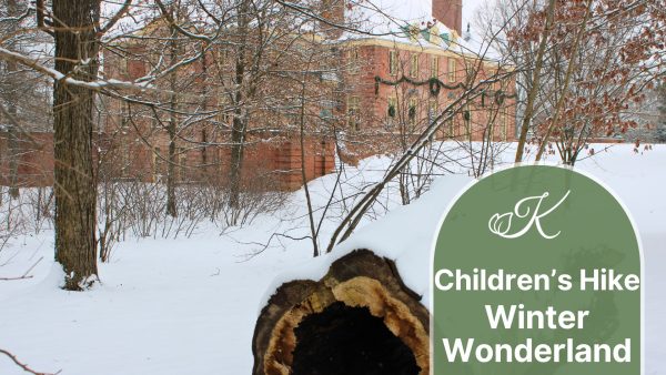 Children’s Hike: Winter Wonderland