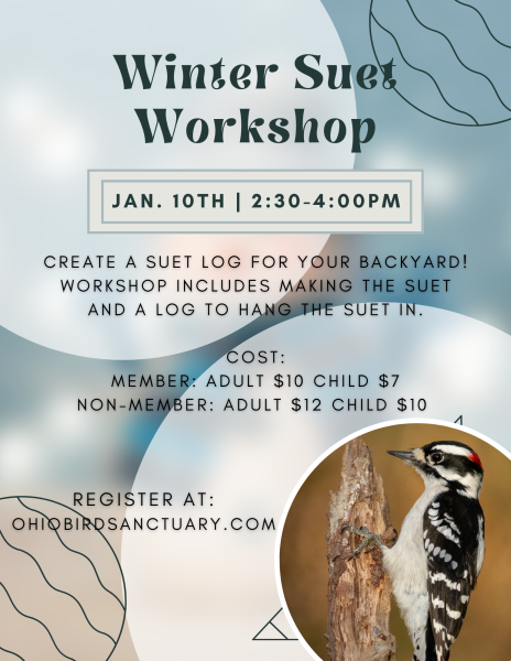 Winter Suet Workshop