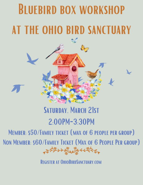 Bluebird Box Workshop