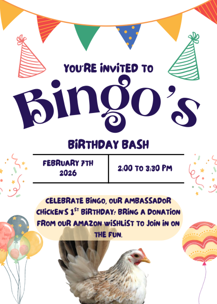 Bingo’s Birthday Bash at Ohio Bird Sanctuary
